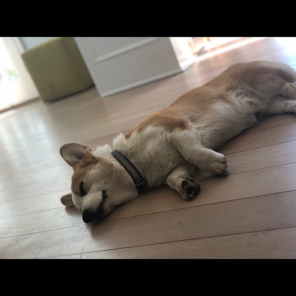 stunnaboyfolife